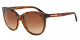 Giorgio Armani 8041 Sunglasses