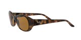 642/57 - Havana - Crystal Brown Polarized