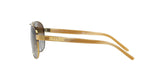 101/T5 - Gold - Polar Brown Gradient