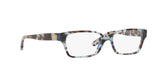 1692 - Blue Tortoise