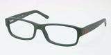 Polo 2102 Eyeglasses