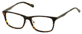 Perry Ellis 419 Eyeglasses