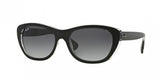 Ray Ban 4227 Sunglasses