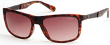 Guess 6843 Sunglasses