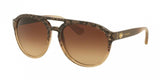 Coach 8170 Sunglasses