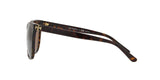 137883 - Havana - Brown Solid Polarized