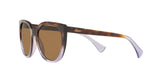 573683 - Dark Brown Polar