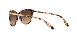 146313 - Havana - Dark Brown Gradient