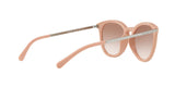 335013 - Light Brown Gradient