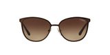 934S13 - Brown - Brown Gradient