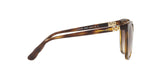 W65613 - Havana - Brown Gradient