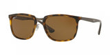 Ray Ban 4303 Sunglasses