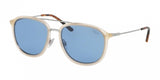 Polo 4146 Sunglasses