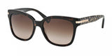 Coach L080 Alfie 8103 Sunglasses