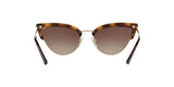 W65613 - Havana/pale Gold - Brown Gradient