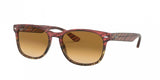 Ray Ban 2184 Sunglasses