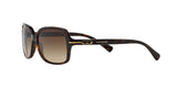500113 - Havana - Brown Gradient
