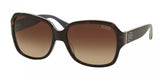 Coach L037 Bridget 8043 Sunglasses