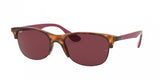 Ray Ban 4419 Sunglasses