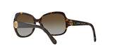 1378T5 - Havana - Brown Gradient Polarized