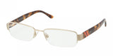 Polo 1115 Eyeglasses