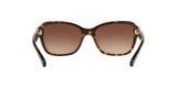 550713 - Dark Tortoise - Brown Gradient