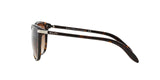 510/13 - Havana - Brown Gradient