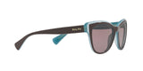 16477N - Brown - Purple Brown Solid