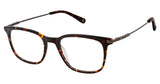 Choice Rewards Preview SPBARRINGTON Eyeglasses