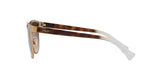 933613 - Gradient Brown