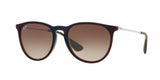 Ray Ban Erika 4171 Sunglasses