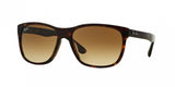 Ray Ban 4181F Sunglasses