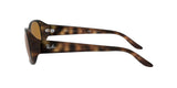 642/57 - Havana - Crystal Brown Polarized