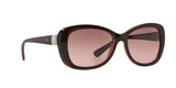 194114 - Brown - Pink Gradient Brown