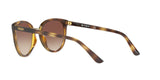 W65613 - Brown Gradient