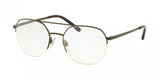 Polo 1183 Eyeglasses
