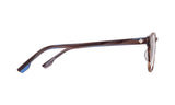 308000 - Mocha Blue Stripe