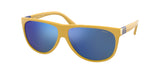 Polo 4174 Sunglasses