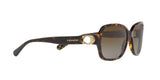 5507T5 - Dark Tortoise - Brown Gradient Polar