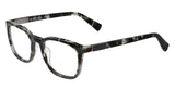 Cole Haan CH4024 Eyeglasses