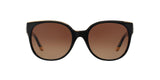 1312T5 - Black - Brown Gradient Polarized