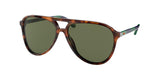 Polo 4173 Sunglasses