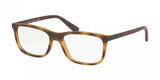 Polo 2210 Eyeglasses