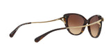 548574 - Dark Tortoise - Brown Gradient