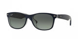 Ray Ban New Wayfarer 2132F Sunglasses