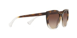 573513 - Gradient Brown