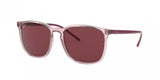 Ray Ban 4387 Sunglasses