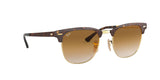 900851 - Havana - Clear Gradient Brown