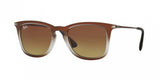 Ray Ban 4221 Sunglasses