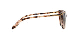 146313 - Havana - Dark Brown Gradient